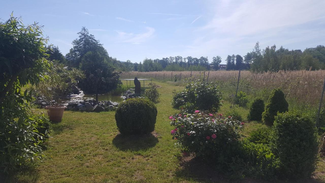 Ferienhaus Am Teich Rottleberode Kültér fotó