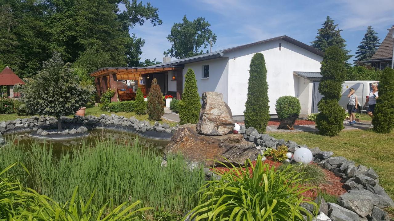 Ferienhaus Am Teich Rottleberode Kültér fotó